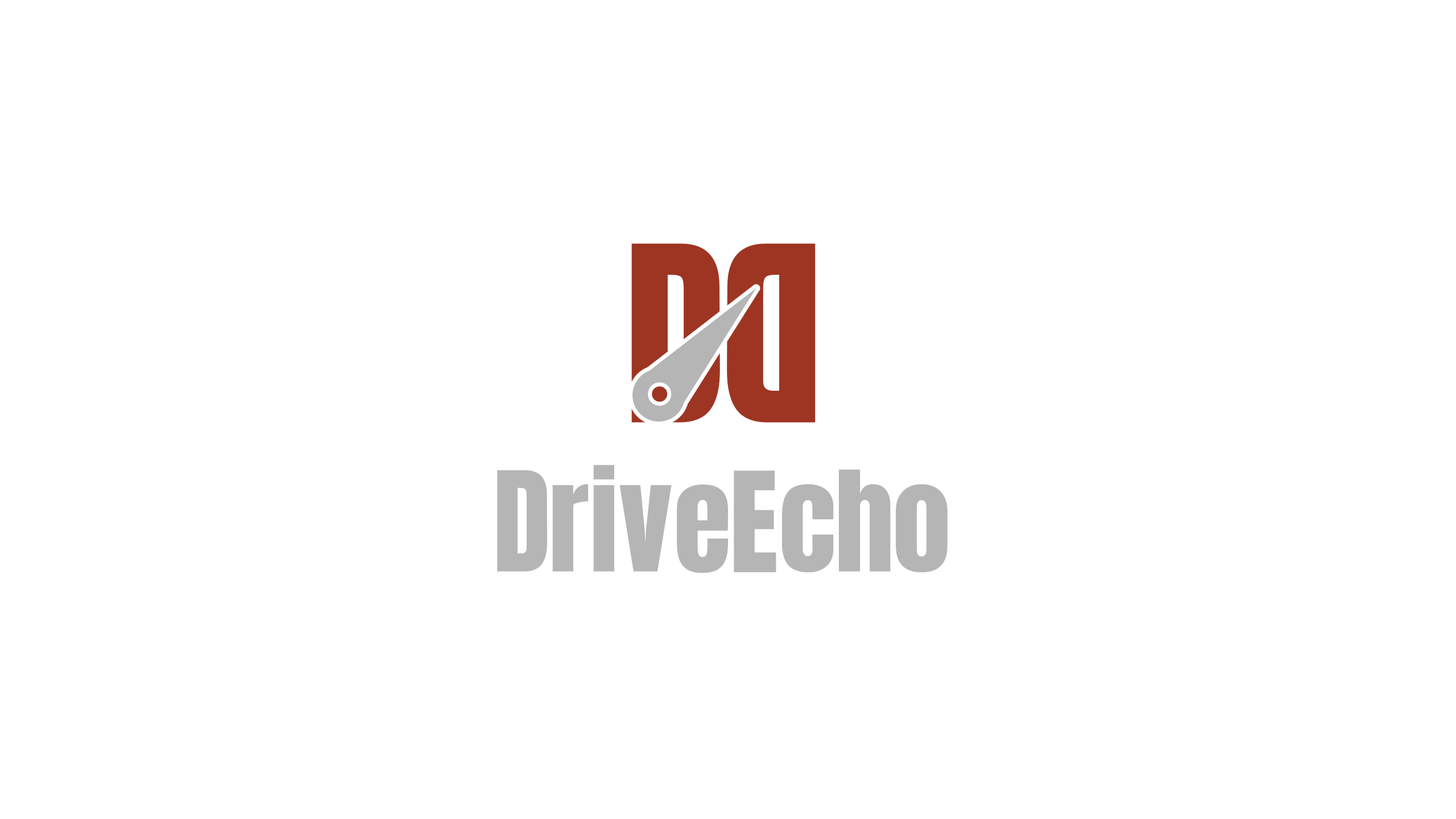 DriveEcho logo